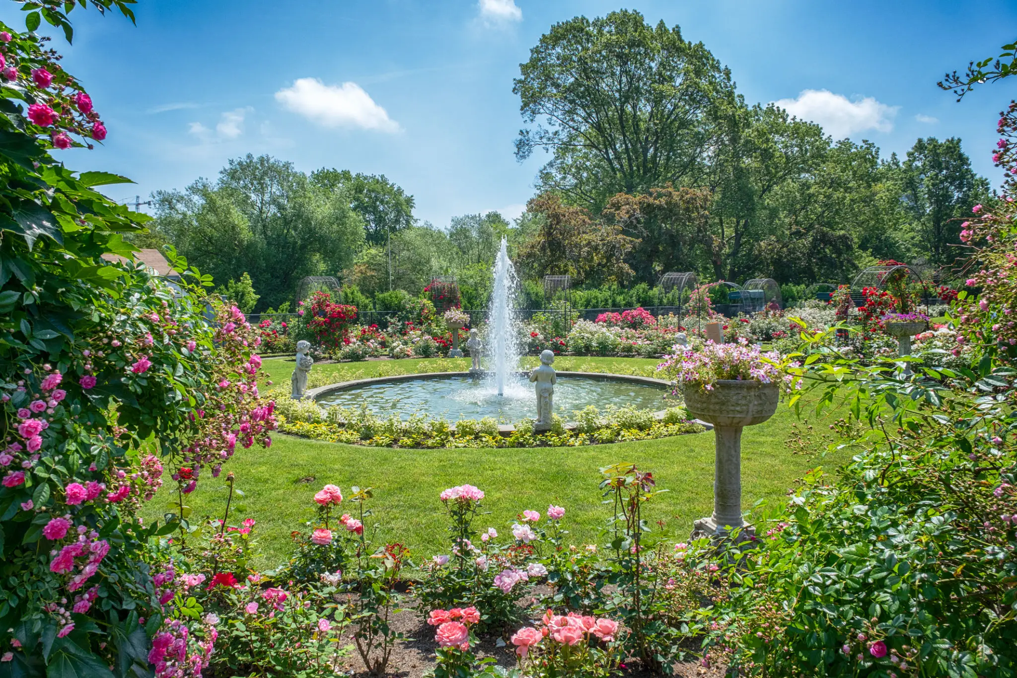 Garden with fountain and colorful blooming flowers.
